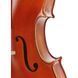 Виолончель Gewa Maestro 1 Cello 3/4