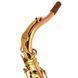 Саксофон Thomann Custom Line Bronze TLBBZG