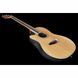 Акустична гітара Ovation Celebrity Tradition CS-24L-4-G