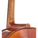 Виолончель Gewa Maestro 1 Cello 3/4