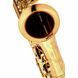 Саксофон Thomann Custom Line Bronze TLBBZG