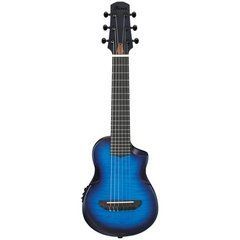 Акустична гітара Ibanez AUP10FMNE-TBO