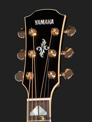 Електроакустична гітара Yamaha APX1000 MB