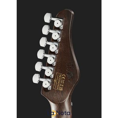 Електрогитара Schecter Aaron Marshall AM-6 AJ