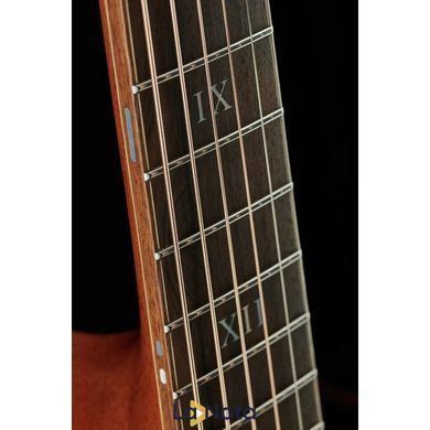 Акустична гітара Furch Red Deluxe Gc-LR