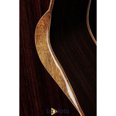 Акустична гітара Furch Red Deluxe Gc-LR