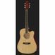 Акустична гітара Harley Benton D-120CE NT
