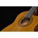 Классическая гитара Ibanez GA5TCE3Q-AM