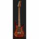 Електрогитара Harley Benton Fusion-III HSH Roasted FBB