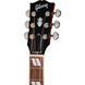 Акустична гітара Gibson Hummingbird Standard EC HCS