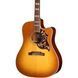 Акустична гітара Gibson Hummingbird Standard EC HCS
