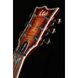 Електрогітара ESP LTD EC-1000FM Amber Sunburst