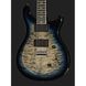 Електрогітара PRS SE Mark Holcomb HL