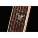 Електрогітара ESP LTD EC-1000FM Amber Sunburst