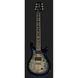 Електрогітара PRS SE Mark Holcomb HL