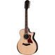 Електроакустична гітара Taylor 854ce Next Generation