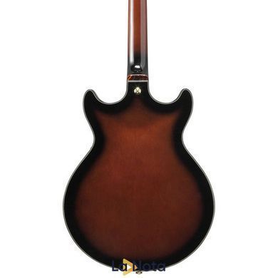 Електрогітара Ibanez AMH100FM-DVS