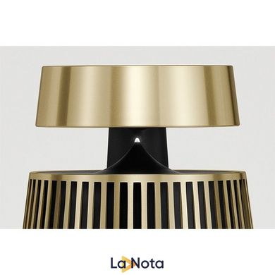 Акустика Bang & Olufsen BeoSound 2 Brass Tone