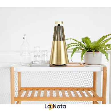 Акустика Bang & Olufsen BeoSound 2 Brass Tone