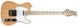 Гитарный комплект Pasadena TL10B Blonde