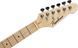 Гитарный комплект Pasadena TL10B Blonde