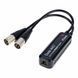 Цифровой конвертер Dante AVIO Analog Output Adapter 0x2