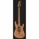 Електрогитара Harley Benton Fusion-III HSH Roasted FNT
