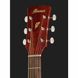 Акустическая гитара Ibanez PF12MHCE-OPN