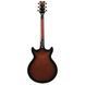 Електрогітара Ibanez AMH100FM-DVS