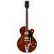 Gretsch Pro Tennessean Bigsby WLNT