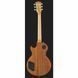 Електрогітара Gibson Les Paul Tribute SHB