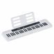 Синтезатор Casio CT-S200 WE