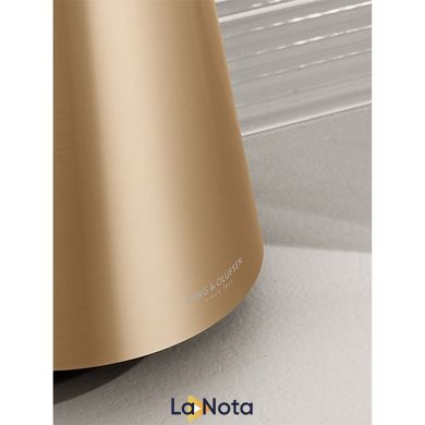 Акустика Bang & Olufsen BeoSound 2 Bronze Tone