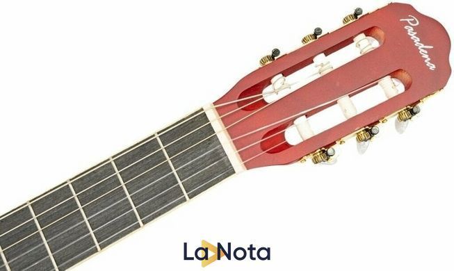 Классическая гитара Pasadena SC041 4/4 Red Burst