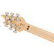 Електрогитара Evh Wolfgang Special Ebony PHGD