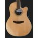Акустична гітара Ovation Celebrity Tradition CS-24-4-G