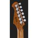 Електрогітара Harley Benton Fusion-IV HSS MN QRG