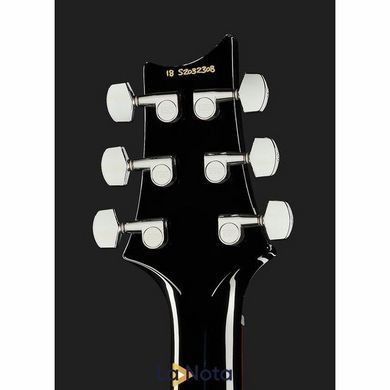 Електрогитара PRS S2 Custom 24 Birds EY