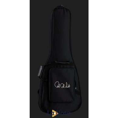 Електрогитара PRS S2 Custom 24 Birds EY