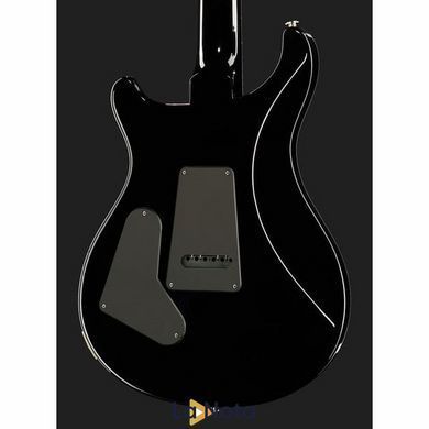 Електрогитара PRS S2 Custom 24 Birds EY