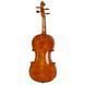Акустическая скрипка Conrad G&ouml;tz Signature Cantonate 123 Violin