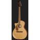 Акустична гітара Fender Newporter Player LH NAT WN