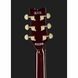 Електрогітара Ibanez AR420-VLS