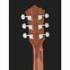 Акустическая гитара Harley Benton HB Custom Line CLD-10S NS
