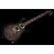 Електрогитара PRS S2 Custom 24 Birds EY