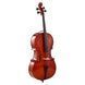 Акустична віолончель Roth & Junius RJC Cello Set 4/4