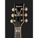 Електрогітара Ibanez AR420-VLS