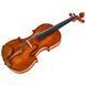 Акустическая скрипка Conrad G&ouml;tz Signature Cantonate 123 Violin