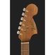 Акустична гітара Fender Monterey Standard MAH