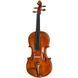 Акустическая скрипка Conrad G&ouml;tz Signature Cantonate 123 Violin
